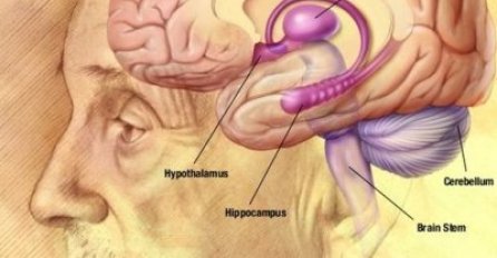 Da li ste među rijetkim ljudima koje ne mogu ovo da pročitaju?