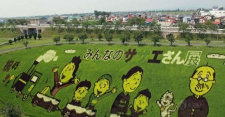 Japanski poljoprivrednici će vas ostaviti bez teksta, pogledajte šta rade u poljima riže!