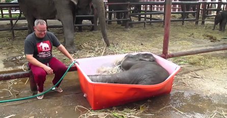 (VIDEO) Ovo će vam popraviti dan:  On se obožava kupati 