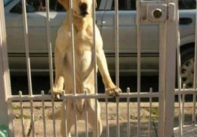 Niste dijete 90-tih, ako niste uradili barem neku od ovih 18 stvari!