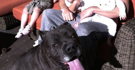 Vin Diesel raspametio obožavatelje i javnost jednom jedinom fotografijom