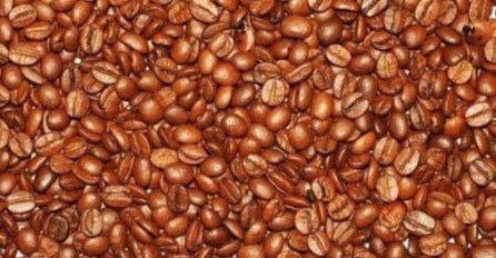 Rijetki su uspjeli: Možete li pronaći 3 bubamare i 3 dječja lica na slici?