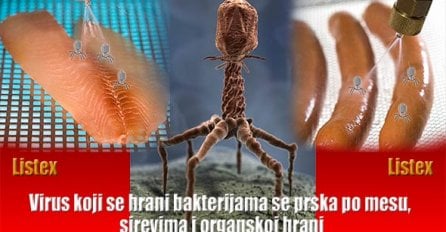 Šokantno! Opasan virus dozvoljen u preradi hrane!