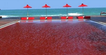 Od krvno crvene do nebesko plave boje