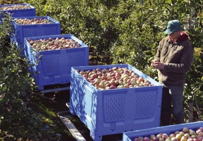 BiH tražiti modalitete saradnje za izvoz u Rusiju