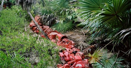 Tropski rezervat poznat po neobičnoj umjetnosti: Oni ostavljaju smeće, a on od njega pravi umjetnička djela