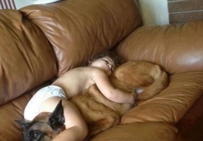 Preslatko: Kada kućni ljubimci čuvaju svoje mališane, psi i djeca najvjerniji drugovi 