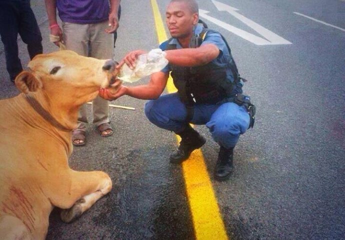 Ovi policajci će vam vratiti vjeru u ljudskost: Fotografija pod brojem 5 će vas posebno dirnuti!