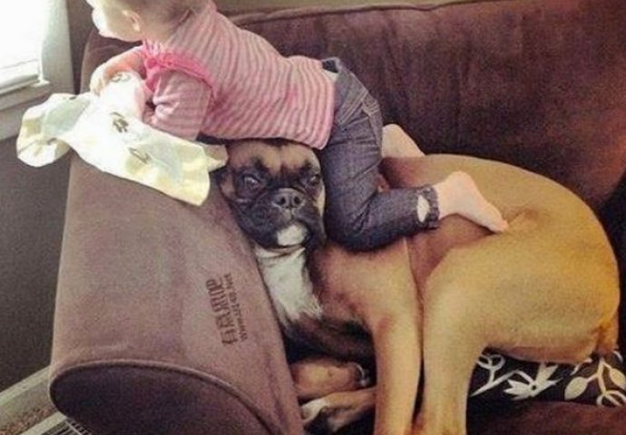 Preslatko: Kada kućni ljubimci čuvaju svoje mališane, psi i djeca najvjerniji drugovi 