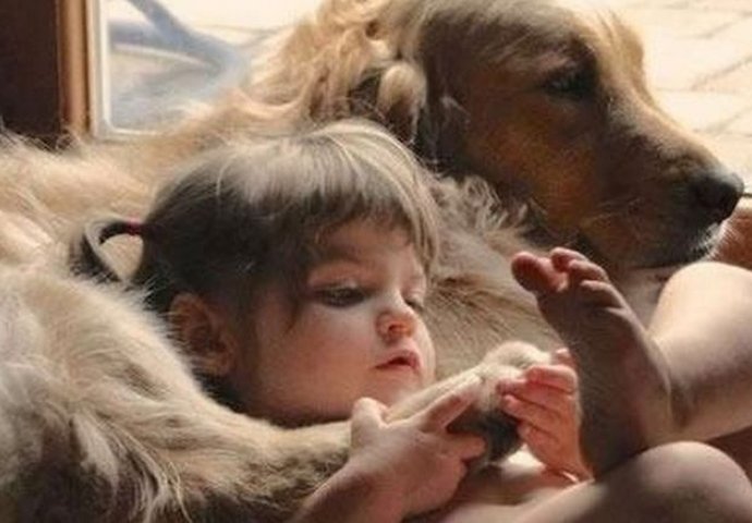 Preslatko: Kada kućni ljubimci čuvaju svoje mališane, psi i djeca najvjerniji drugovi 