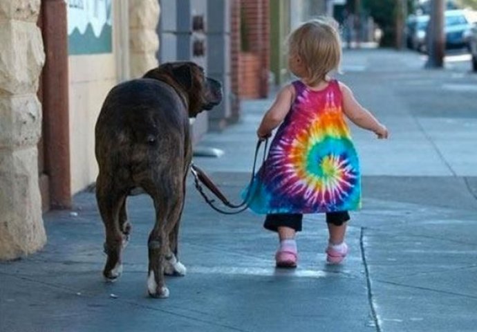 Preslatko: Kada kućni ljubimci čuvaju svoje mališane, psi i djeca najvjerniji drugovi 