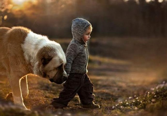 Preslatko: Kada kućni ljubimci čuvaju svoje mališane, psi i djeca najvjerniji drugovi 