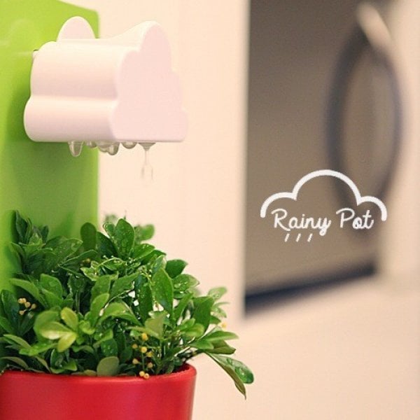 rainypot3