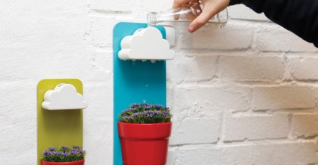 Ne morate se više brinuti o zalijevanju cvijeća: Najbolji privatni oblak koji vaša  biljka može poželjeti 