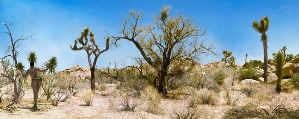 pejzaz-gola-zena-body-art-2