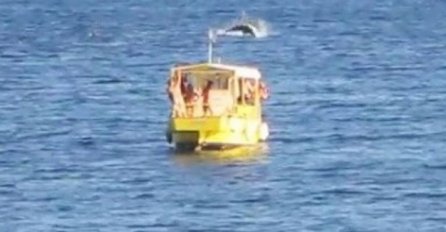 Ovo ne viđamo često! Čaroban ples delfina snimljen u moru u blizini Pule! (VIDEO)
