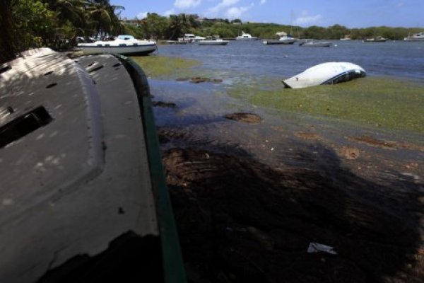 porto-riko-foto-tanjug-ap-2-ff