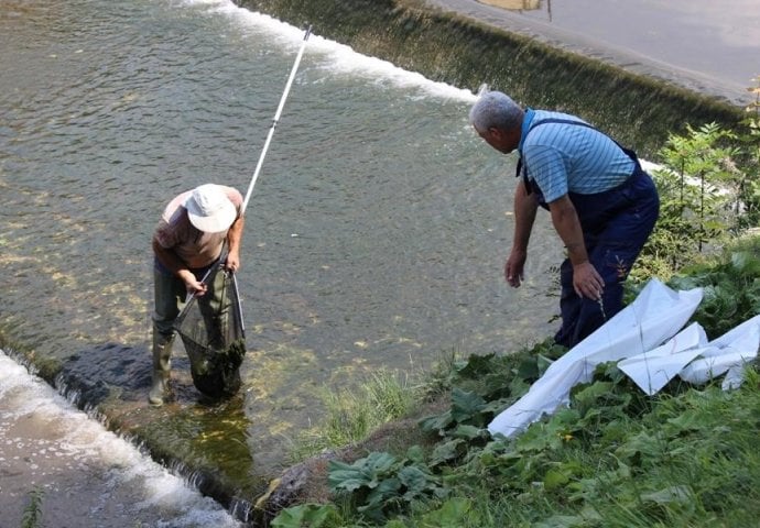 Sarajevo: Naredna tri mjeseca akcija čišćenja korita rijeke Miljacke