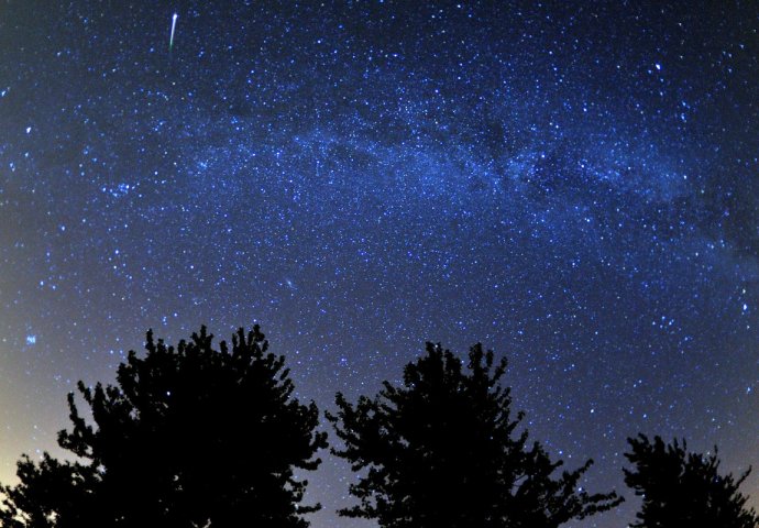 The Perseid Meteor Shower of 2015 