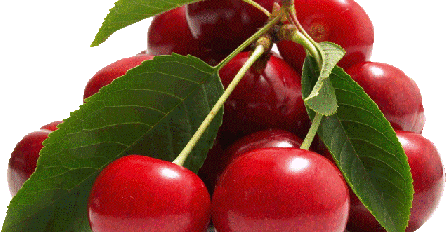 Moćno lišće višnje: Ono je odličan lijek, ali i saveznik ljepote