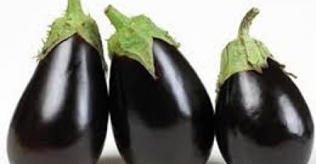 PLAVI PATLIDŽAN u borbi protiv tumora!