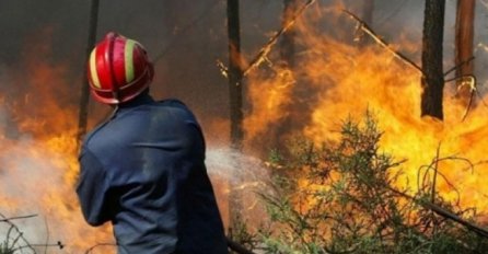 Tomislavgrad:  Vatrogasci spriječili širenje velikog požara u Kologaju