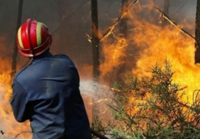 Tomislavgrad:  Vatrogasci spriječili širenje velikog požara u Kologaju