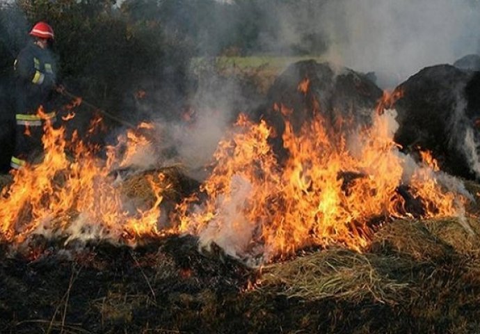 Šumski požar u Portugalu usmrtio najmanje 25 osoba