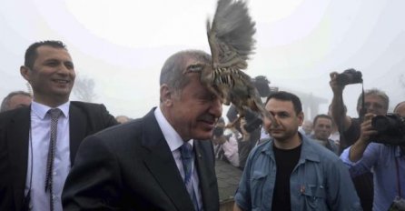 Hit na društvenim mrežama: Ptica "buntovnica" napala predsjednika