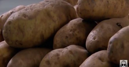 Od krompira i "najgluplje ideje ikad" zaradi 10.000  mjesečno! 