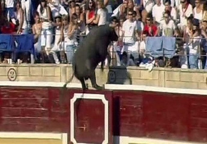 U Španiji bikovi usmrtili četiri osobe