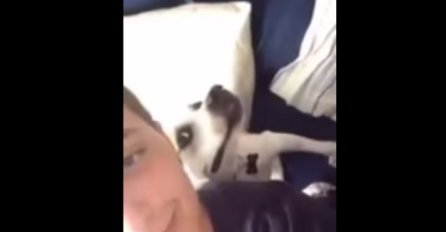 Ovako izgleda kada pas želi snimiti selfie s vlasnikom