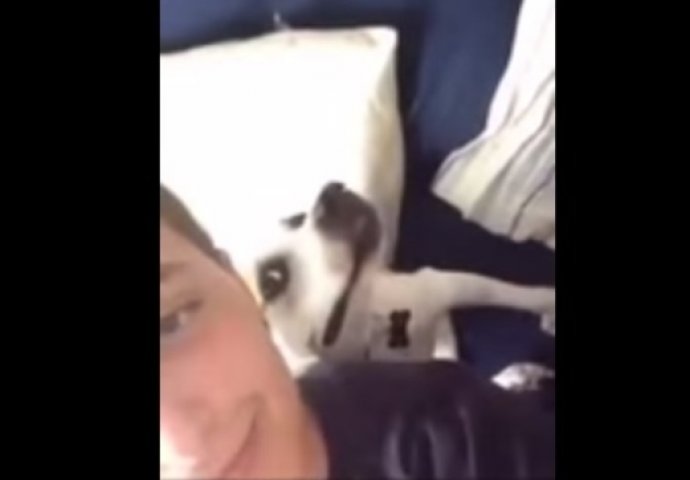 Ovako izgleda kada pas želi snimiti selfie s vlasnikom