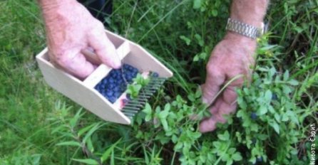 Ovaj recept narodnog  lijeka sebi dobro zapišite: Liječi skoro svaku bolest!