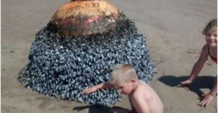 ŠOK NA PLAŽI Mislili su da se slikaju pored nasukane bove, ali nisu ni slutili o čemu je riječ