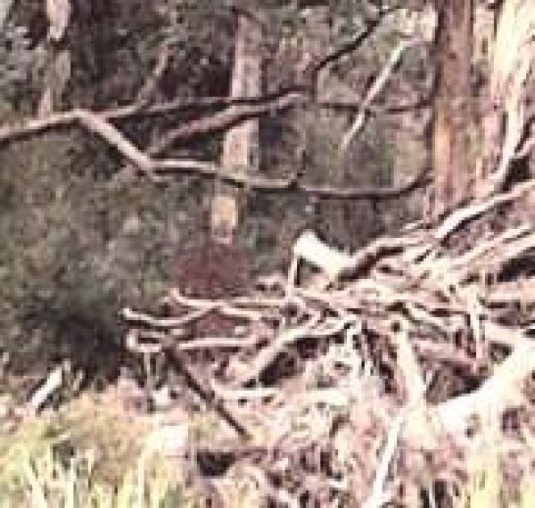 2321ea43b0b016a042d9e60b35ca384f