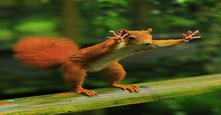 Slike 'uhvaćene' ne u sekundi nego u stotinki!