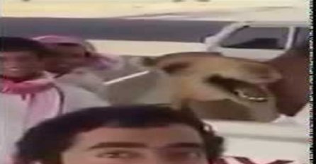 Jeste li ikada vidjeli kamilu koja se smije? (VIDEO)