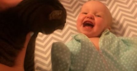 Reakcija ove bebe kada ugleda svoju mačku je URNEBESNA! (VIDEO) 