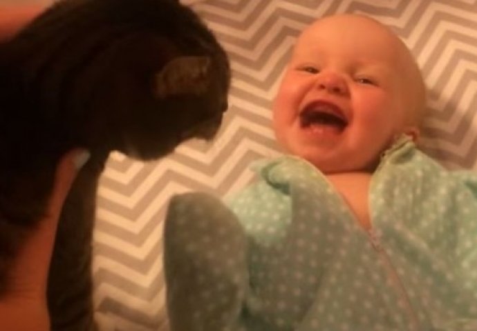 Reakcija ove bebe kada ugleda svoju mačku je URNEBESNA! (VIDEO) 