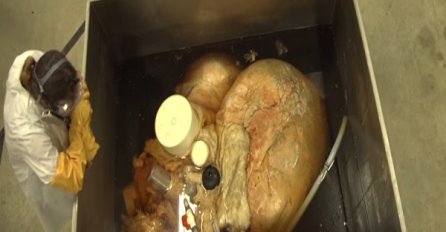 Najveće srce na svijetu: Šta mislite čije je ? 