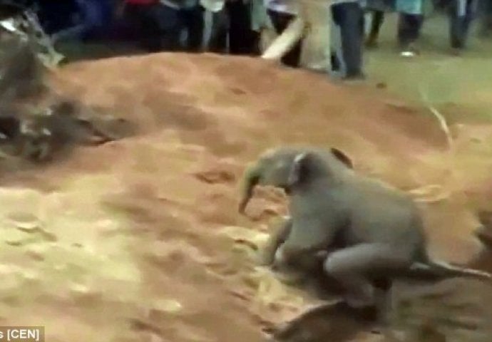 (VIDEO) Upao u bunar dubok 30 metara: Mještani čuli krike, a onda je uslijedilo fenomenalno spašavanje!