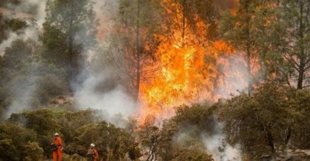 Najjači požari u historiji: Mobilizirane hiljade vatrogasaca i vojnika