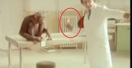 Ovako izgleda kad majmun nauči čovjeka lekciju! (VIDEO)