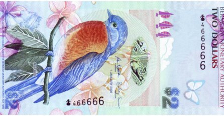 Kreativno i jedinstveno: Pogledajte kako izgledaju novčanice širom svijeta (I dio)