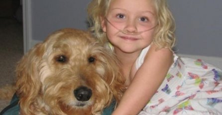 DIRLJIVO: Bez ovog psa djevojčica ne bi bila živa!