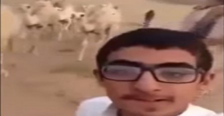  Selfi sa kamilom završio se loše po ovog momka (VIDEO)