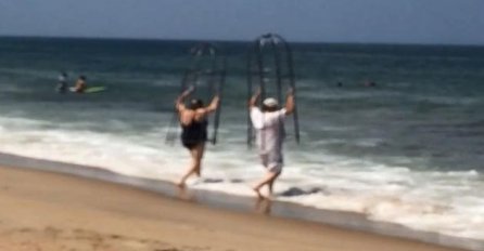 Oni su osmislili kako da se zaštite od ajkula! Ipak, nije im to dugo trajalo! (VIDEO)