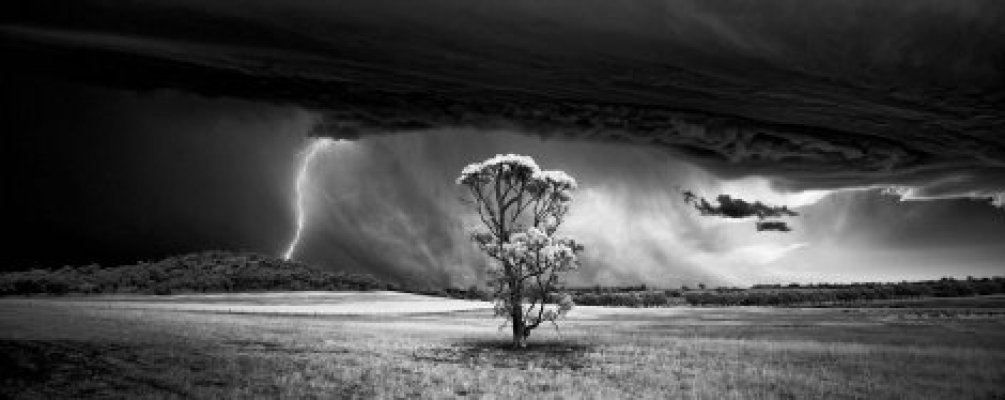 659876-2bba3195000005783213890landscapeandnaturephotographerbasedonthenorthernbeachesa101440746820085-ff