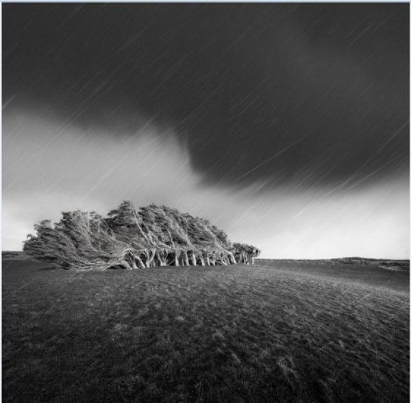 659873-2bba2734000005783213890basedinperthlukeaustintookhometheinternationallandscapea41440746819162-ff